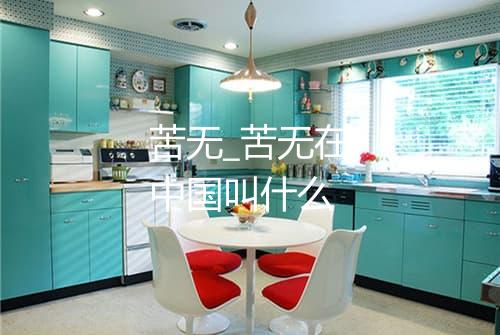 苦无_苦无在中国叫什么