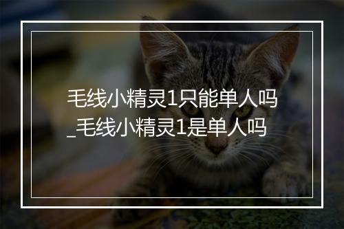 毛线小精灵1只能单人吗_毛线小精灵1是单人吗